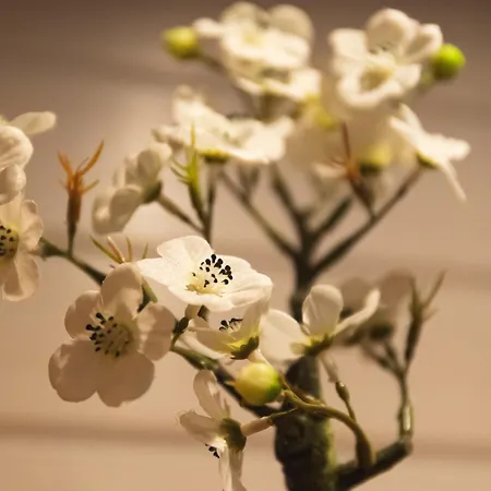 Roulottes Et Son Kota Grill Sauna مكان تخييم Bucilly